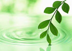 京都で有機農法・自然農法による野菜作りと生産技術開発 | 有機イチゴ狩り2／22(日)15:00