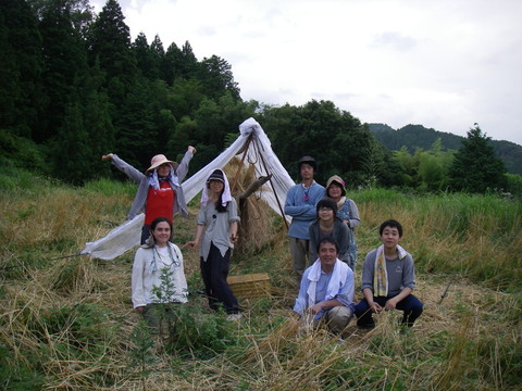 京都で有機農法・自然農法による野菜作りと生産技術開発 | ライ麦刈りイベント　in　胡麻　2012