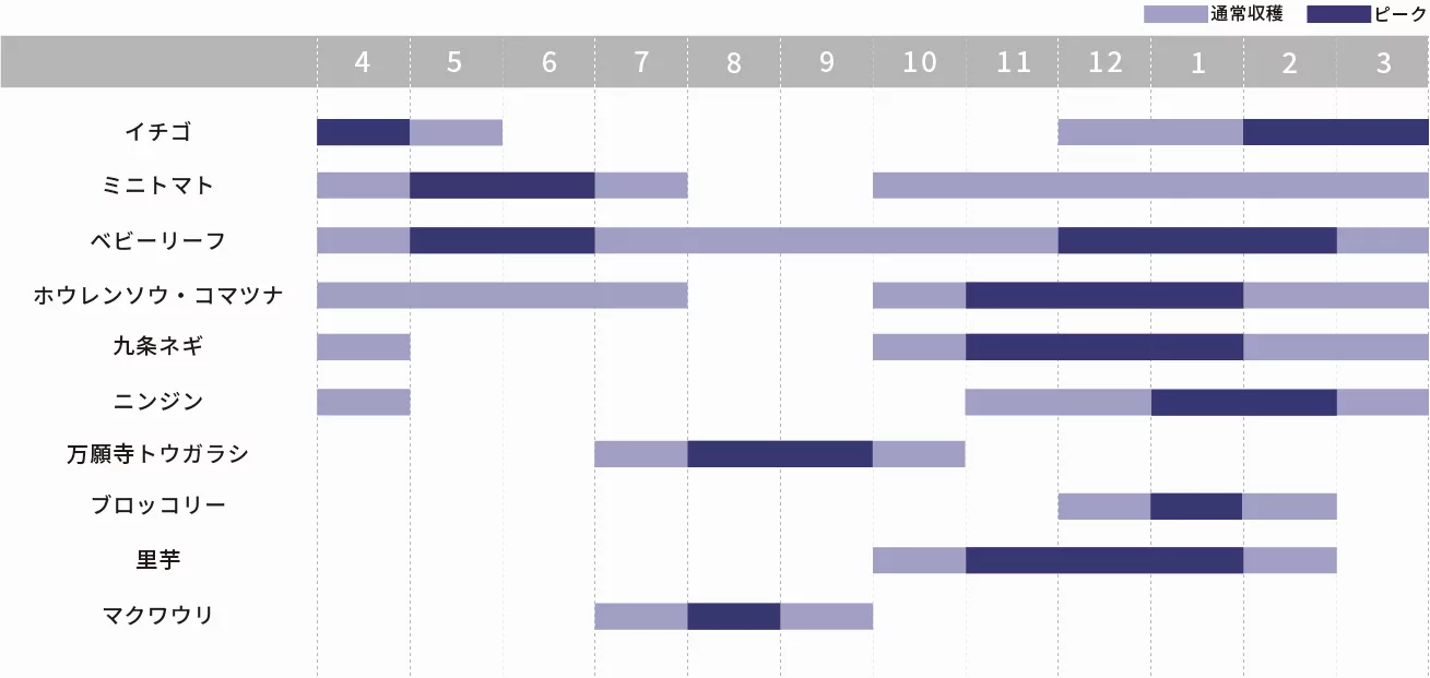 主な有機JAS品目の年間出荷予定